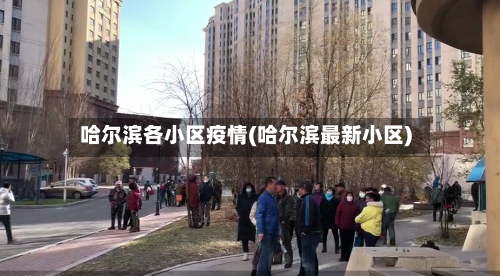哈尔滨各小区疫情(哈尔滨最新小区)