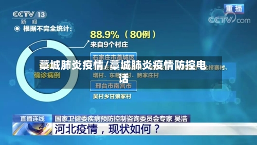藁城肺炎疫情/藁城肺炎疫情防控电话-第3张图片