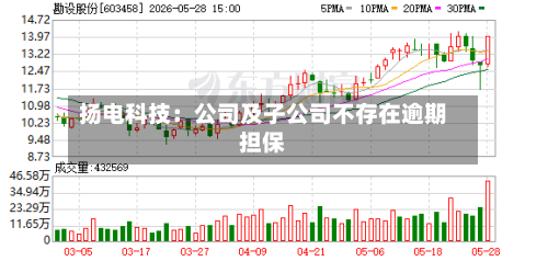 扬电科技：公司及子公司不存在逾期担保