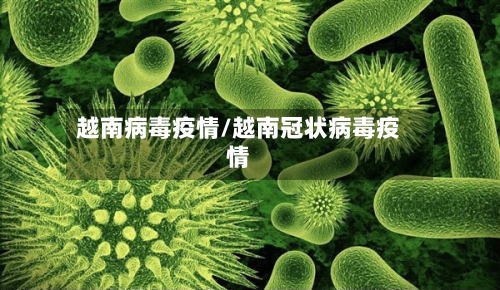 越南病毒疫情/越南冠状病毒疫情-第2张图片
