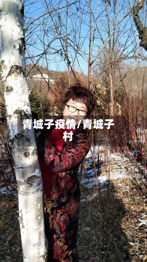 青城子疫情/青城子村
