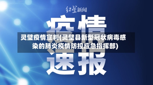 灵璧疫情宣判(灵璧县新型冠状病毒感染的肺炎疫情防控应急指挥部)-第2张图片