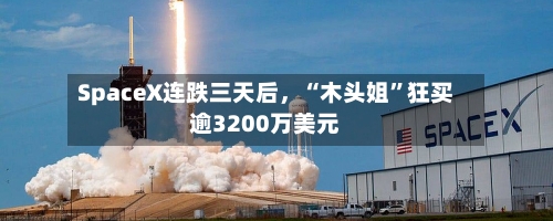 SpaceX连跌三天后	，“木头姐”狂买逾3200万美元-第2张图片