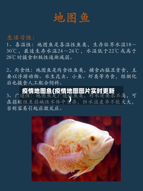 疫情地图鱼(疫情地图图片实时更新)-第2张图片