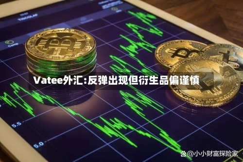 Vatee外汇:反弹出现但衍生品偏谨慎-第3张图片