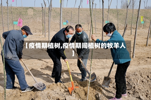 【疫情期植树,疫情期间植树的牧羊人】-第2张图片