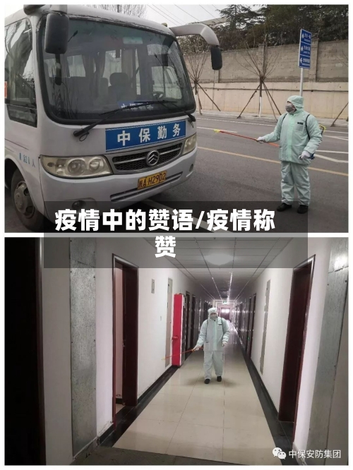 疫情中的赞语/疫情称赞