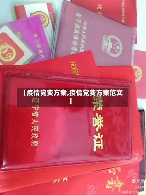 【疫情党费方案,疫情党费方案范文】-第3张图片