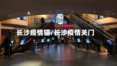 长沙疫情猫/长沙疫情关门-第2张图片
