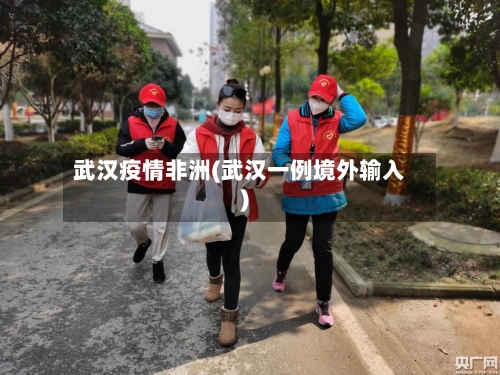 武汉疫情非洲(武汉一例境外输入)-第2张图片