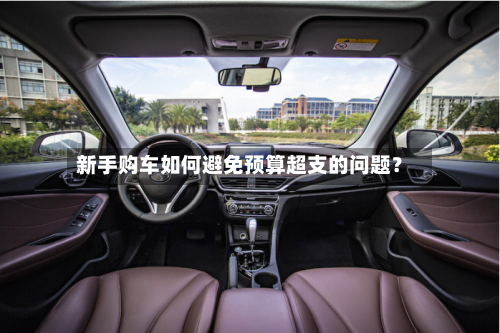 新手购车如何避免预算超支的问题？-第2张图片