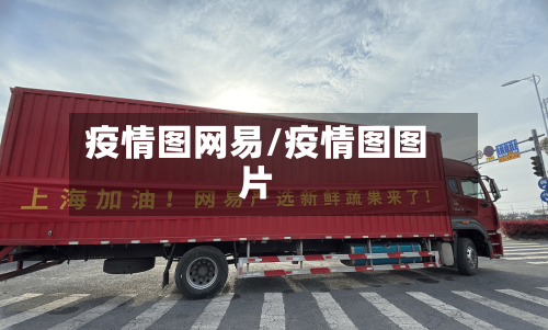 疫情图网易/疫情图图片-第2张图片
