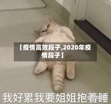 【疫情高效段子,2020年疫情段子】-第2张图片