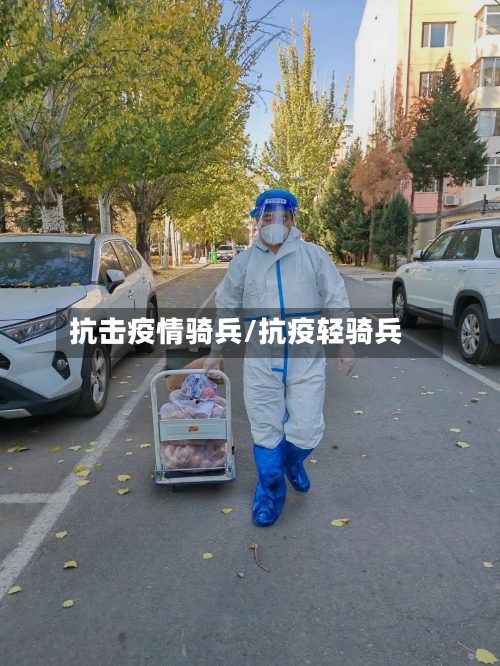 抗击疫情骑兵/抗疫轻骑兵-第3张图片