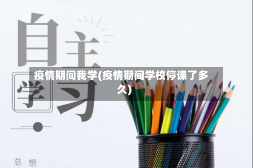 疫情期间我学(疫情期间学校停课了多久)