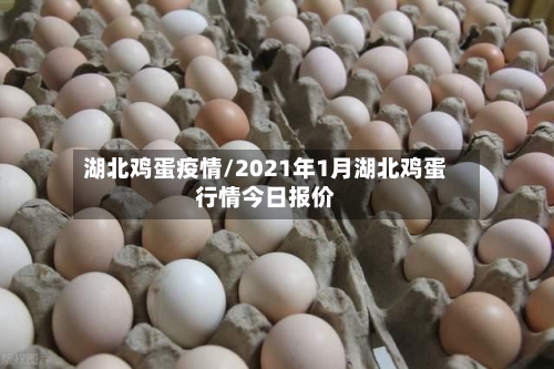湖北鸡蛋疫情/2021年1月湖北鸡蛋行情今日报价-第3张图片