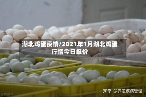 湖北鸡蛋疫情/2021年1月湖北鸡蛋行情今日报价-第2张图片