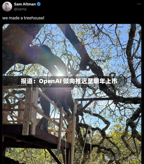 报道：OpenAI 倾向推迟至明年上市