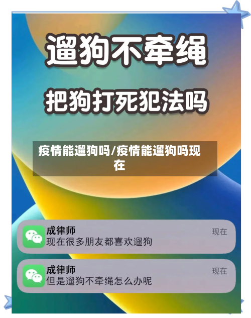 疫情能遛狗吗/疫情能遛狗吗现在