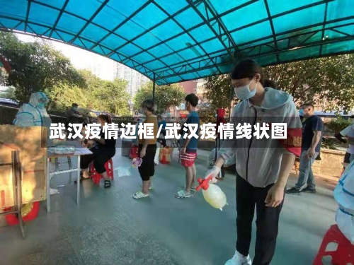 武汉疫情边框/武汉疫情线状图
