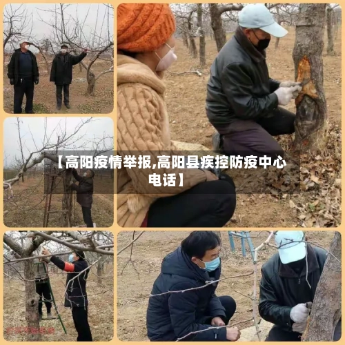 【高阳疫情举报,高阳县疾控防疫中心电话】-第2张图片