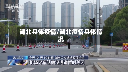 湖北具体疫情/湖北疫情具体情况-第3张图片