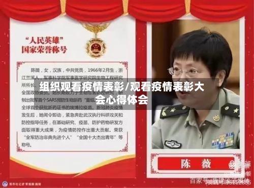 组织观看疫情表彰/观看疫情表彰大会心得体会