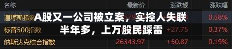 A股又一公司被立案，实控人失联半年多，上万股民踩雷