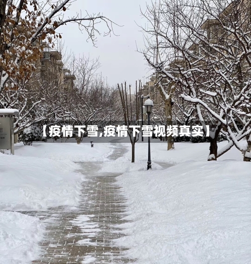 【疫情下雪,疫情下雪视频真实】
