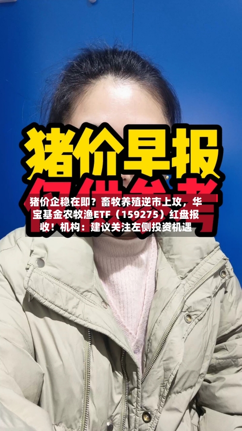 猪价企稳在即？畜牧养殖逆市上攻，华宝基金农牧渔ETF（159275）红盘报收！机构：建议关注左侧投资机遇-第2张图片