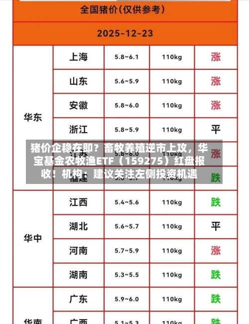 猪价企稳在即？畜牧养殖逆市上攻，华宝基金农牧渔ETF（159275）红盘报收！机构：建议关注左侧投资机遇-第3张图片