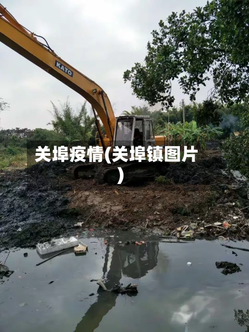 关埠疫情(关埠镇图片)-第2张图片
