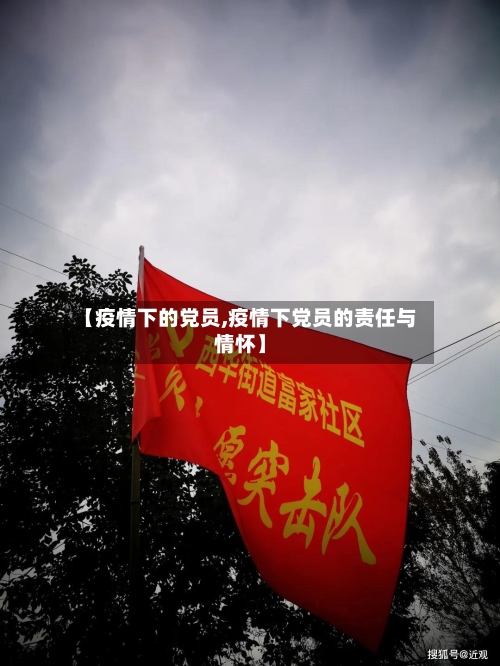 【疫情下的党员,疫情下党员的责任与情怀】-第2张图片