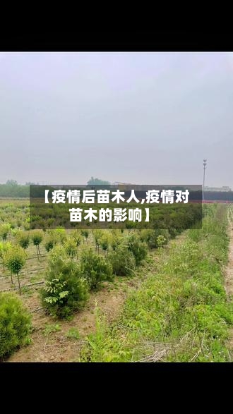 【疫情后苗木人,疫情对苗木的影响】-第2张图片