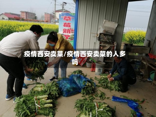 疫情西安卖菜/疫情西安卖菜的人多吗