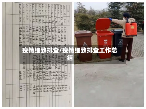疫情细致排查/疫情细致排查工作总结