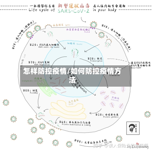 怎样防控疫情/如何防控疫情方法-第2张图片