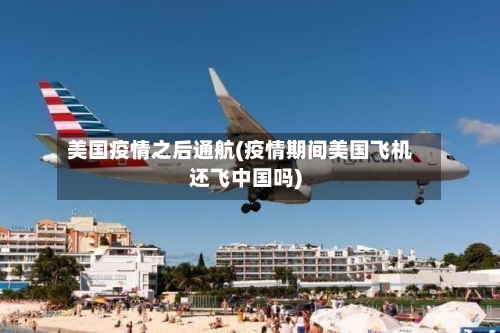美国疫情之后通航(疫情期间美国飞机还飞中国吗)-第2张图片