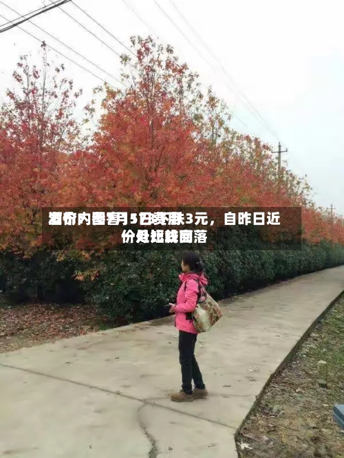 酒价内参7月1日费用发布：国窖1573下跌3元，自昨日近一月比较高价处短线回落-第3张图片