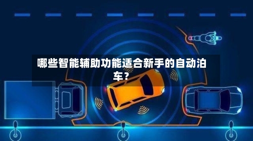哪些智能辅助功能适合新手的自动泊车？