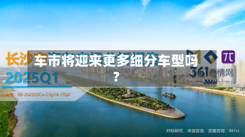 车市将迎来更多细分车型吗？-第2张图片