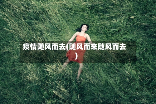 疫情随风而去(随风而来随风而去)