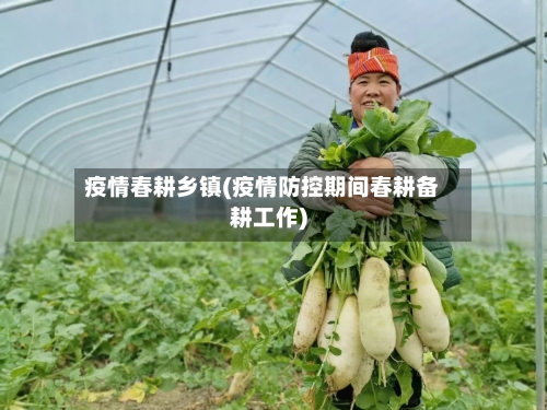 疫情春耕乡镇(疫情防控期间春耕备耕工作)-第3张图片