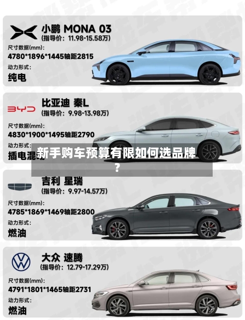 新手购车预算有限如何选品牌？-第3张图片