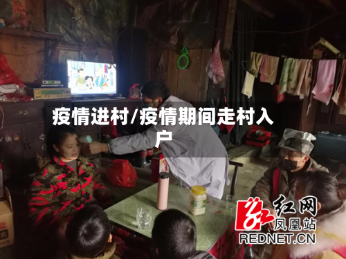 疫情进村/疫情期间走村入户