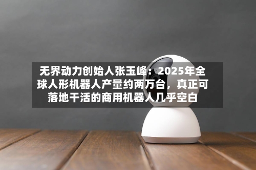 无界动力创始人张玉峰：2025年全球人形机器人产量约两万台	，真正可落地干活的商用机器人几乎空白-第3张图片