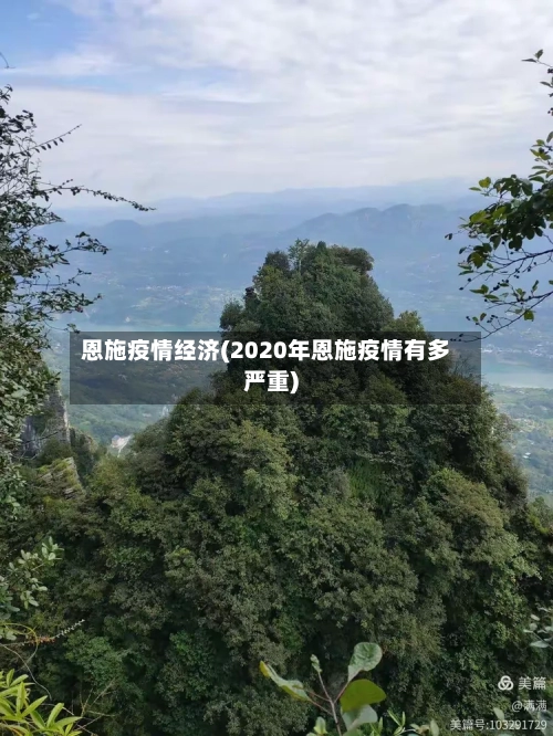 恩施疫情经济(2020年恩施疫情有多严重)