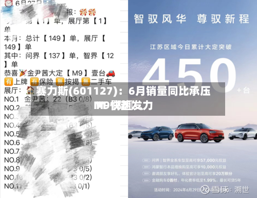 赛力斯(601127)：6月销量同比承压 M〖陆〗	、M9快速发力-第3张图片