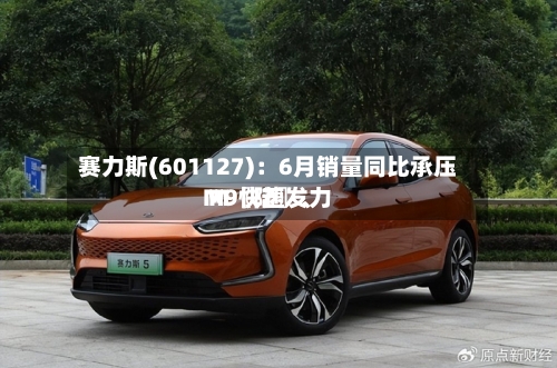 赛力斯(601127)：6月销量同比承压 M〖陆〗、M9快速发力-第2张图片