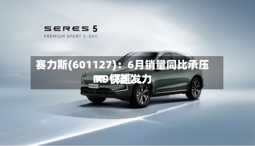 赛力斯(601127)：6月销量同比承压 M〖陆〗、M9快速发力-第2张图片